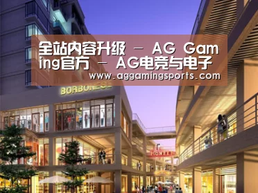 案例展示一(图1)