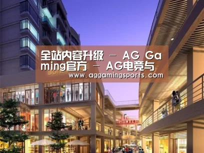 案例展示一