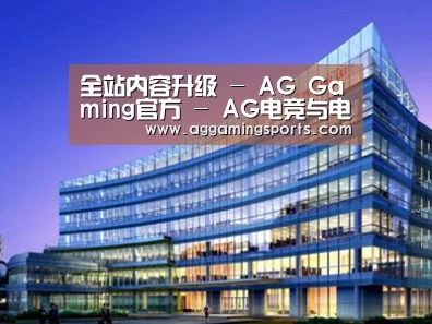 案例展示五