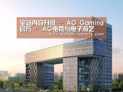 案例展示四