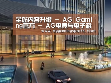 案例展示二