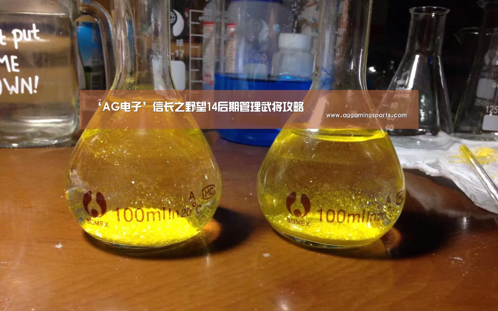 ‘AG电子’信长之野望14后期管理武将攻略(图1) AG升级