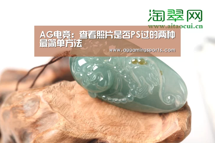 AG电竞:查看照片是否PS过的两种最简单方法(图2) AG电竞:查看照片是否PS过的两种最简单方法(图2)