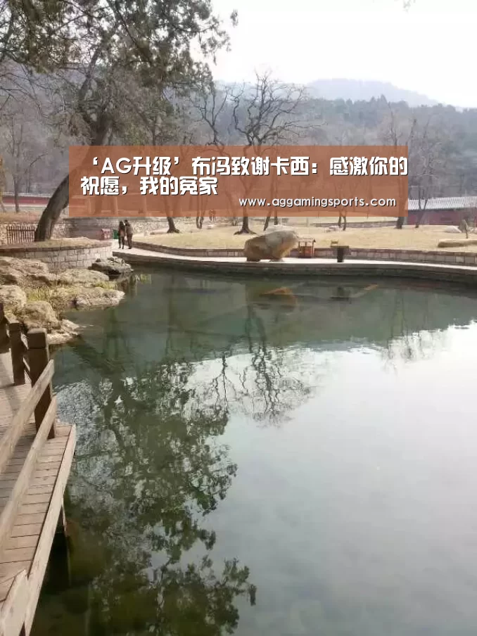 ‘AG升级’布冯致谢卡西：感激你的祝愿，我的冤家(图3)