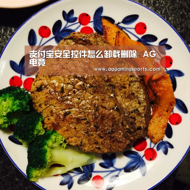 支付宝安全控件怎么卸载删除-AG电竞(图3)