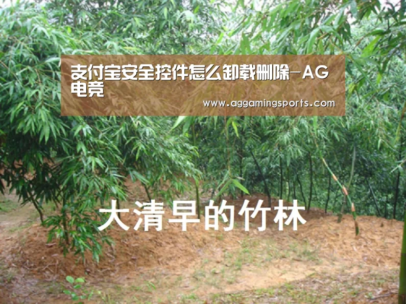AG电子