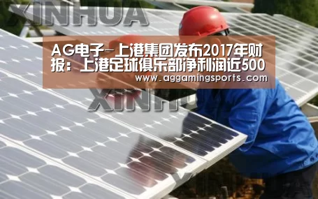 AG电子-上港集团发布2017年财报：上港足球俱乐部净利润近5000万元(图3)