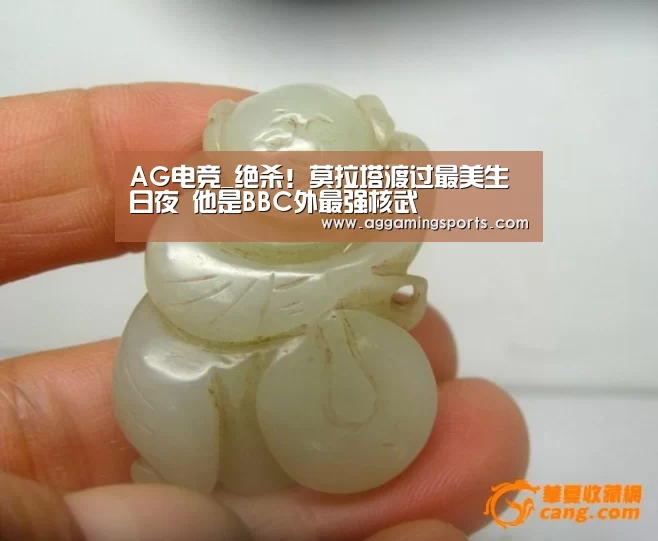 AG电子